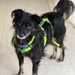 0d653e21-2821-478b-ac9c-bbe390bf5dec