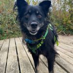 218ecaa8-f660-4663-a36e-b532780a629e