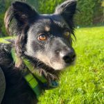 22c66a14-48cc-4d91-9c00-aa62c441d127