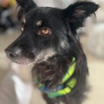 27073dad-d359-487f-95bd-4da019607b5f