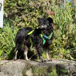 68f848db-b741-4909-8af6-912a96217a88