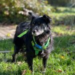 83e1bbce-dfed-4d9d-8dd2-fac9e6e9302b