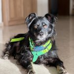 9e942528-01f6-4eed-bb0e-027953268b14