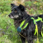 dd14eae4-1094-4a7f-b2c1-5b03964c4494