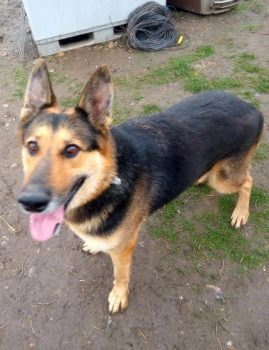 0e0c01bb-fa2b-4a1a-a646-08fae33017f7