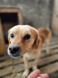 40a242c7-f39a-4cc2-9a05-70adf01a39c1