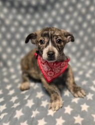 521c5e32-131c-425e-b716-d232cb6a9039