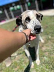 557686391_1028894312627276_4835093470701385066_n