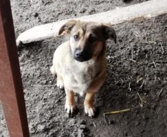 78961b37-f97c-456e-9721-9ece9f3d09dd