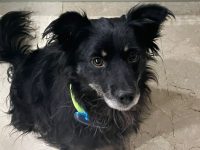 8c65cbbd-ae40-4878-bbb6-9c5a40c7917a