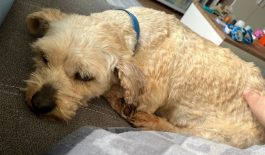 a6492950-154c-4c70-8aec-9d81e5d59c34