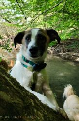 b0feb571-d920-44a0-bdcc-bca5398bb02e b0feb571-d920-44a0-bdcc-bca5398bb02e