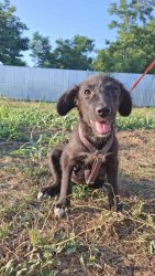 ca9f6585-adc8-4a0c-9a13-1978baec0457