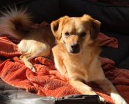 d32a943a-15ed-44cb-b11b-222200ff2f12