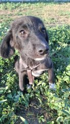 f1276ed2-3523-45b5-87c3-285df734cb62