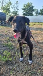 f5d0e8bc-d362-4e8e-a083-101db7af66c5